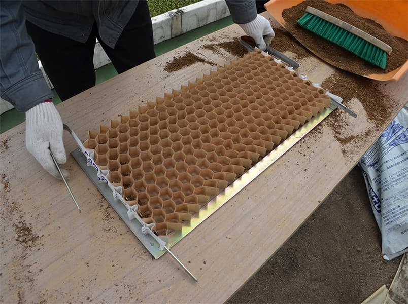 An opened Chainpot honeycomb tray being filled with soil, ready for sowing.