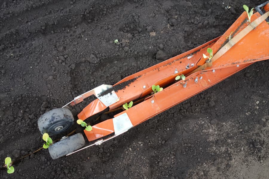 The non-powered transplanter tucks each seedling into the soil at an even spacing.