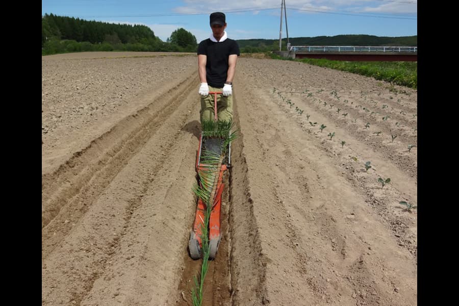 One steady pull sets a whole row of Chainpot seedlings.