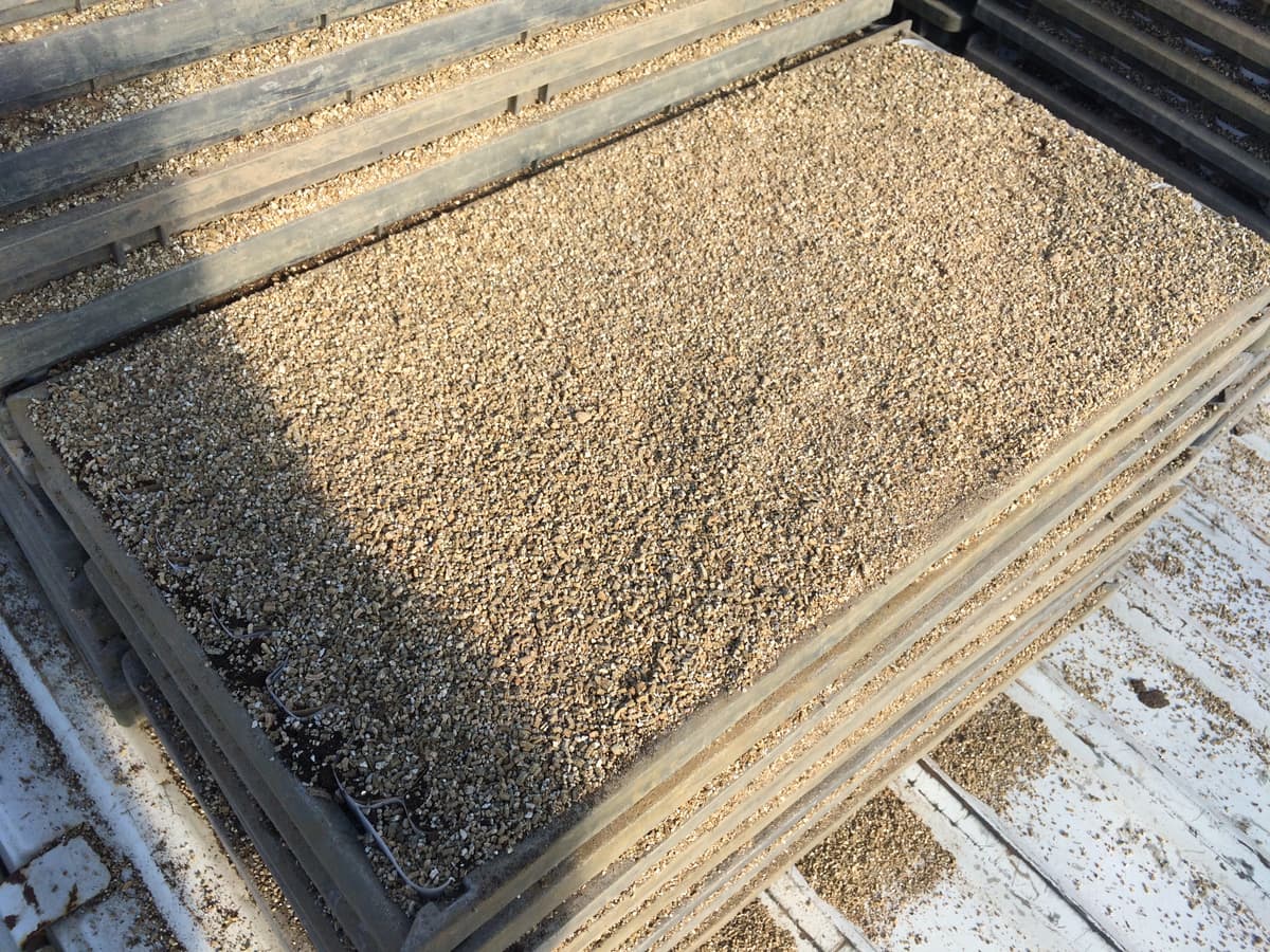 Trays of the soil mix used to fill the Chainpot cells.