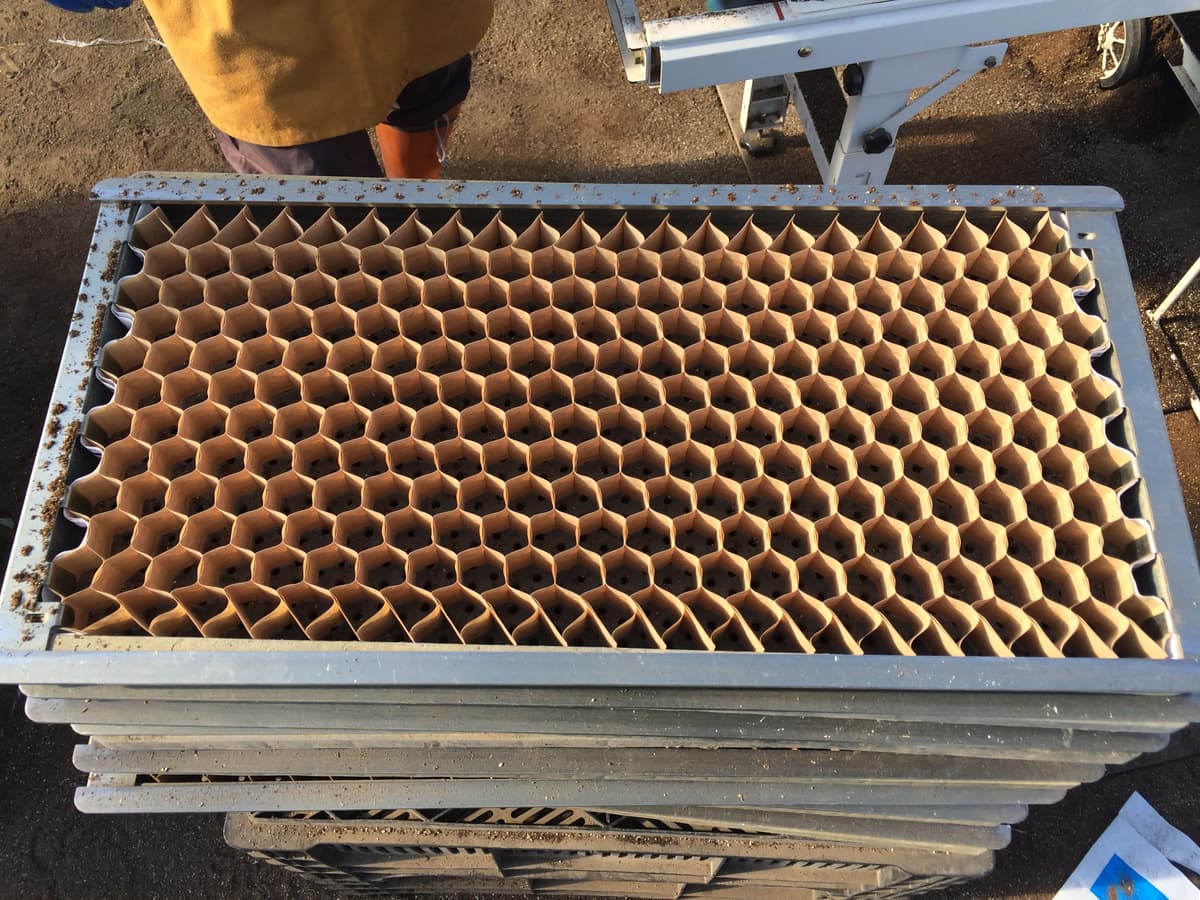 Expanded Chainpot paper honeycomb cells held in the setting frame, ready to fill.