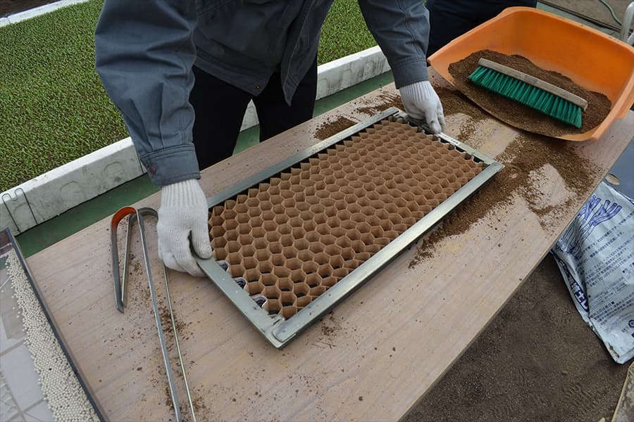 Soil brushed level across the open Chainpot cells.